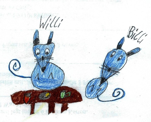 Willi Willi