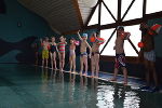 Schwimmbad